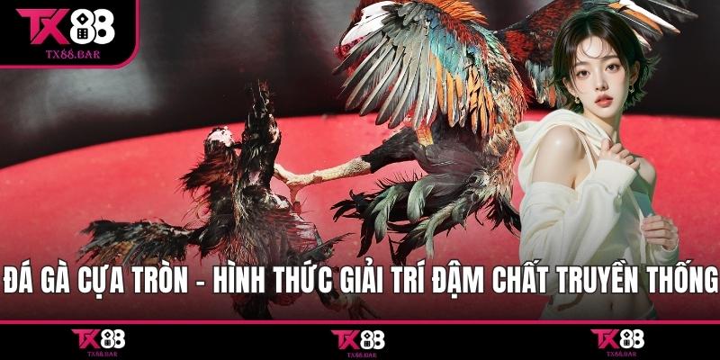 Đá gà cựa tròn