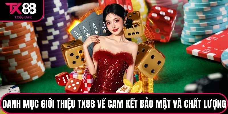 Danh mục giới thiệu TX88 về cam kết bảo mật và chất lượng
