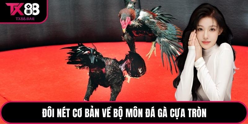 Đôi nét cơ bản về bộ môn đá gà cựa tròn