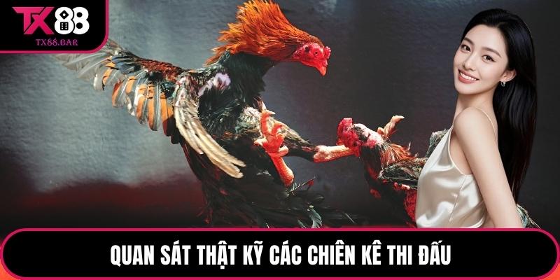 Quan sát thật kỹ các chiên kê thi đấu