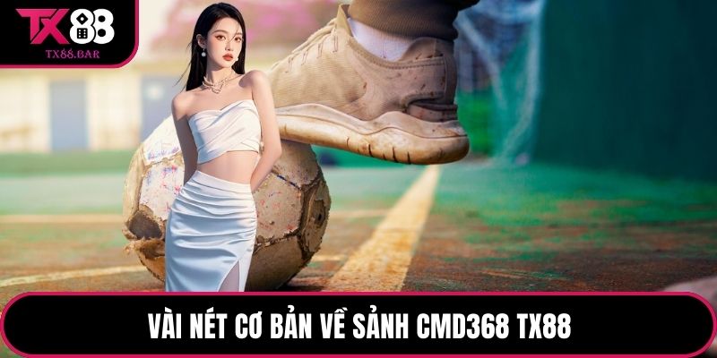 Vài nét cơ bản về sảnh CMD368 TX88
